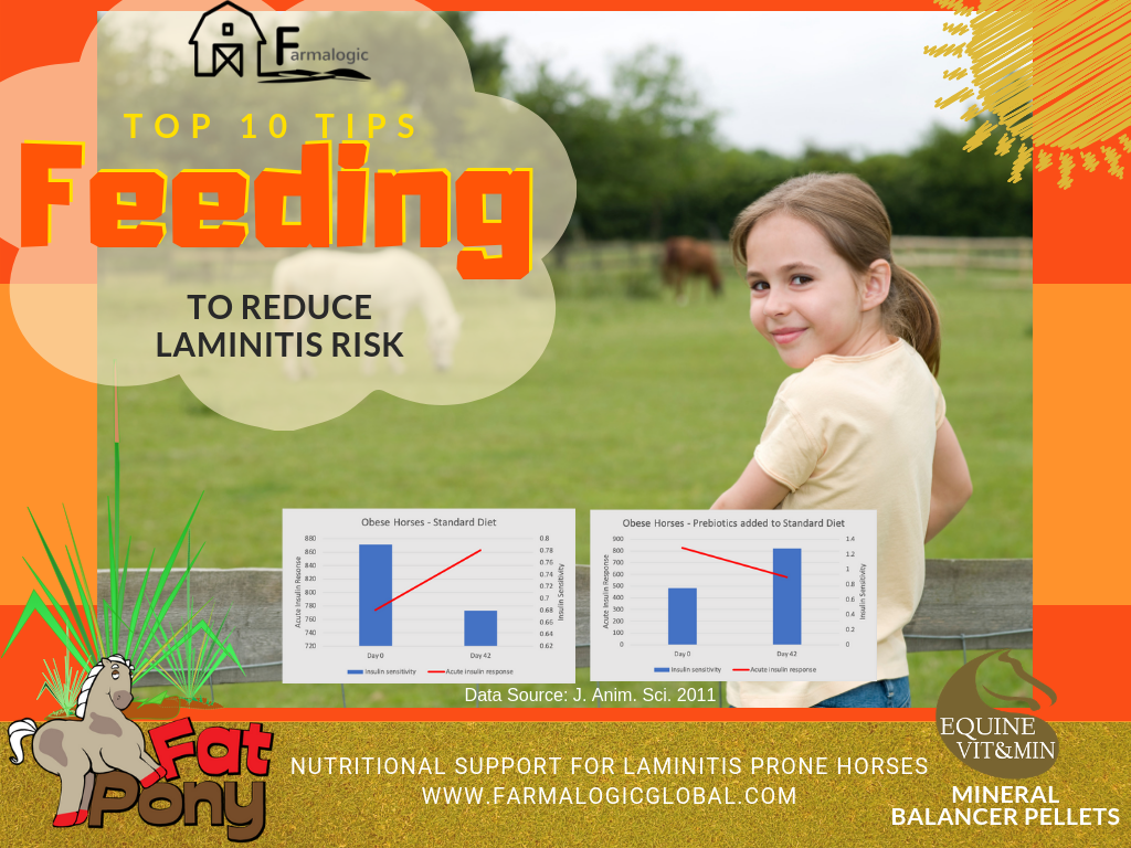 Feeding Tips Laminitis - FP