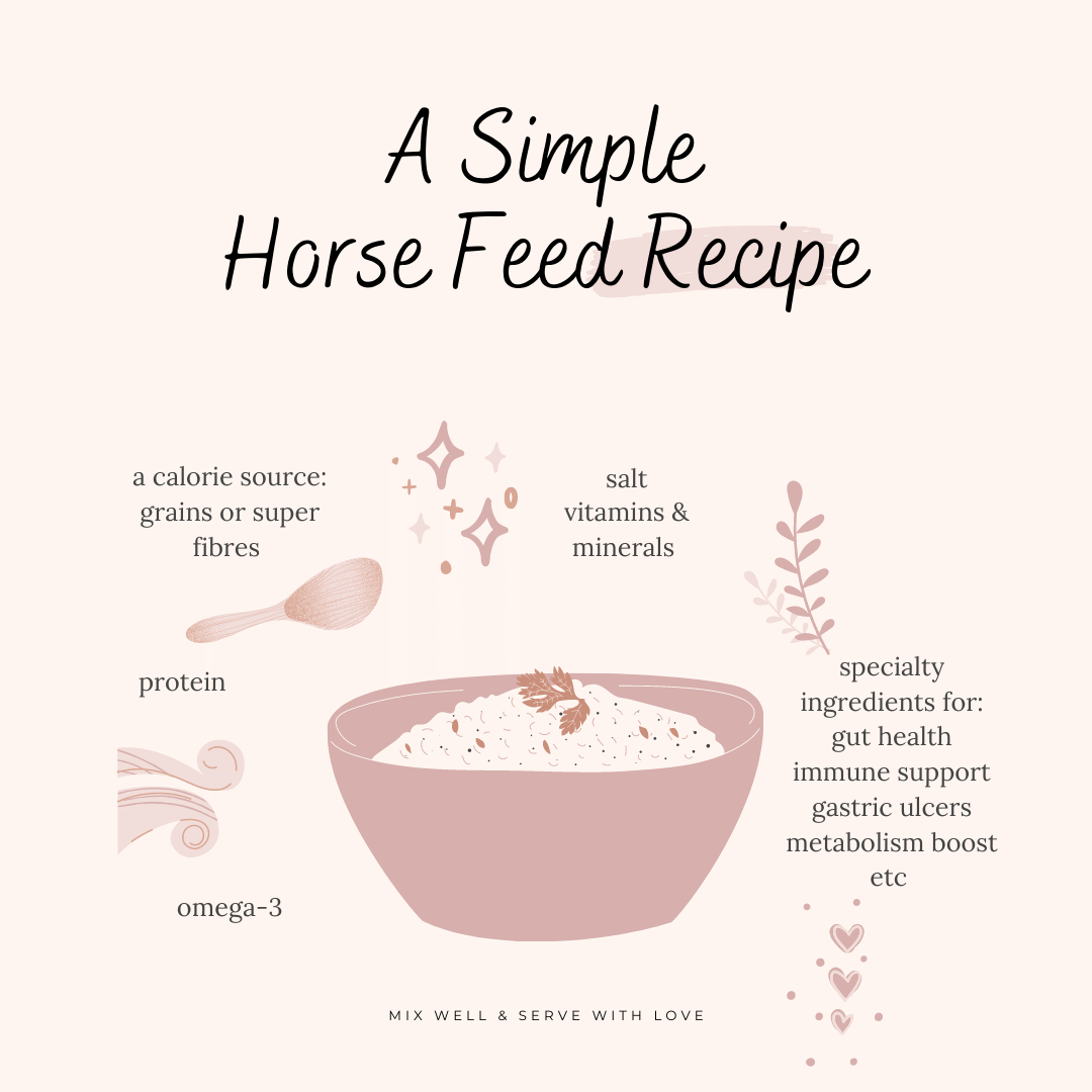 Are Pre-Mixed Horse Feeds better than Home Mixed?