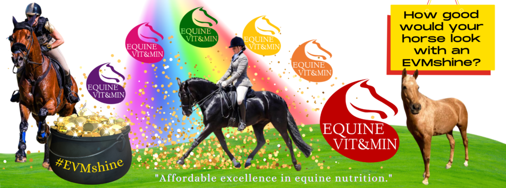 Equine Vit&Min: Affordable Excellence in Equine Nutrition.