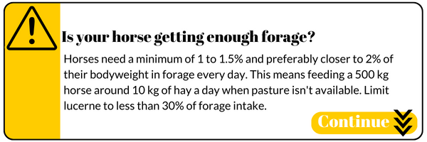 Is your horse getting enough forage? Horses need a minimum of 1 to 1.5% and preferably closer to 2% of their bodyweight in forage every day. This means feeding a 500 kg horse around 10 kg of hay a day when pasture isn't available. Limit lucerne to less than 30% of forage intake.