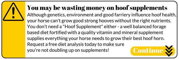 You may be wasting money on hoof supplements. Although genetics, environment and good farriery influence hoof health, your horse can't grow good strong hooves without the right nutrients. You don't need a 