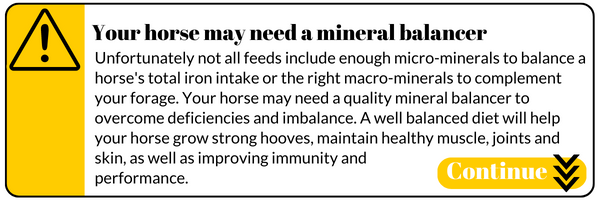Your horse may need a better balancer. Unfortunately not all feeds include enough micro-minerals to balance a horse's total iron intake or the right macro-minerals to complement your forage. A well balanced diet will help your horse grow strong hooves, maintain healthy muscle, joints and skin, as well as improving immunity and 
performance.