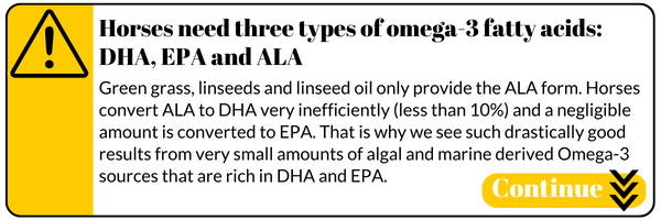 Horses need three types of omega-3 fatty acids: DHA, EPA and ALA. Green grass, linseeds and linseed oil only provide the ALA form. Horses convert ALA to DHA very inefficiently (less than 10%) and a negligible amount is converted to EPA. That is why we see such drastically good results from very small amounts of algal and marine derived Omega-3 sources that are rich in DHA and EPA.