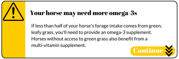 Your horse may need more omega-3s if less than half of your horse's forage intake comes from green, leafy grass, you'll need to provide an omega-3 supplement. Horses without access to green grass also benefit from a 
multi-vitamin supplement.