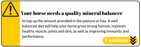 Your horse needs a quality mineral balancer to top up the amount provided in the pasture or hay. A well balanced diet will help your horse grow strong hooves, maintain healthy muscle, joints and skin, as well as improving immunity and performance.