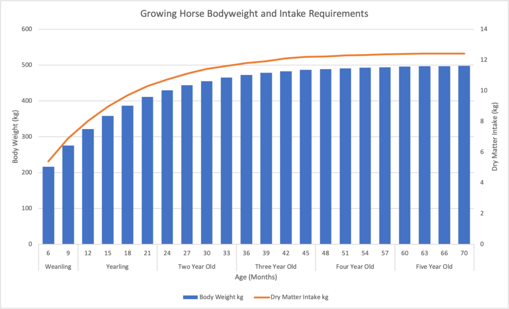 Growing horse bodyweight and dry matter intake