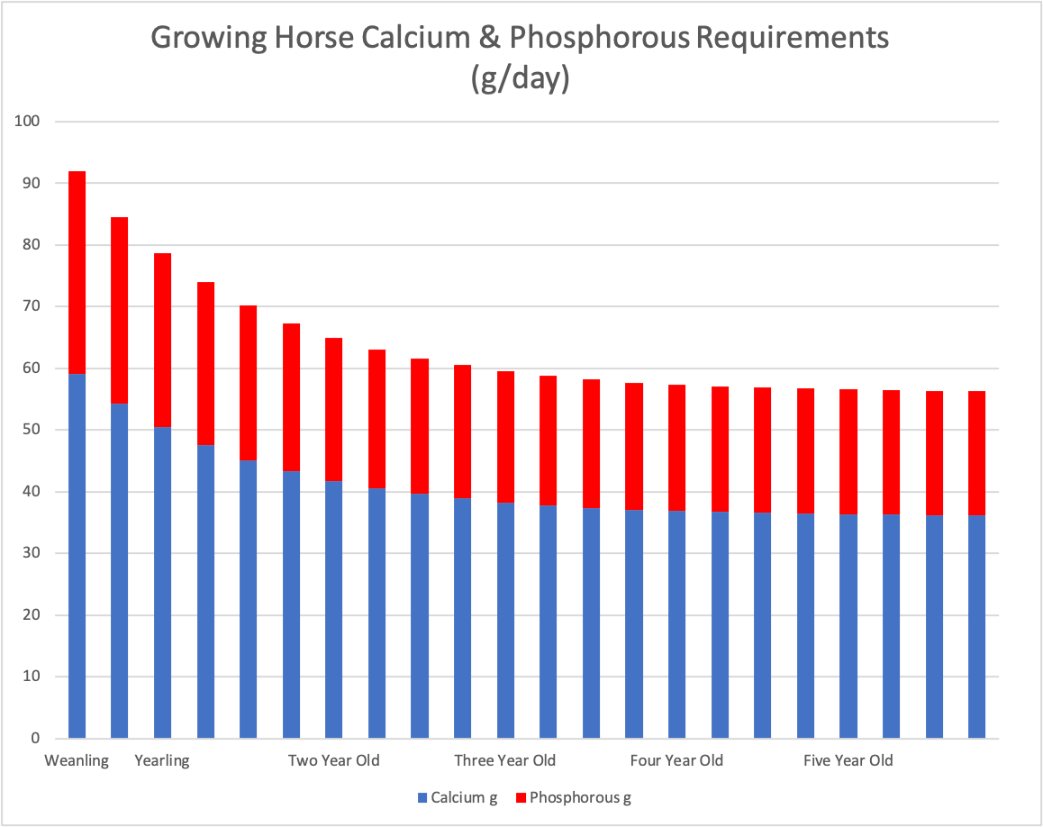 Growing horse calcium and phosphorous requirements